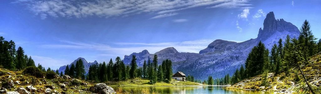 Profile Hero Background