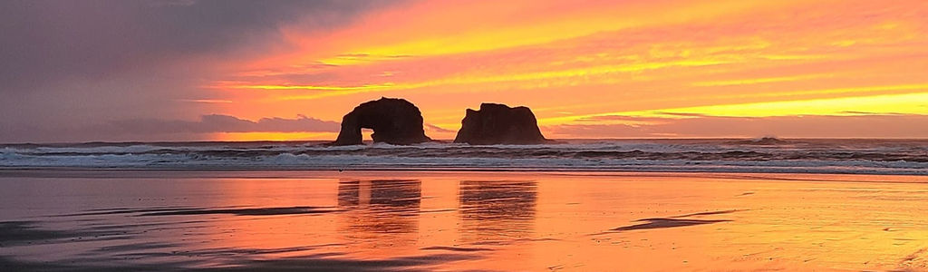 Profile Hero Background