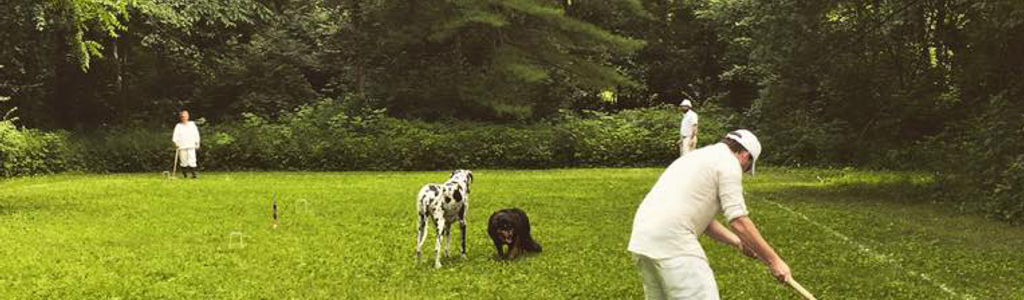 Profile Hero Background