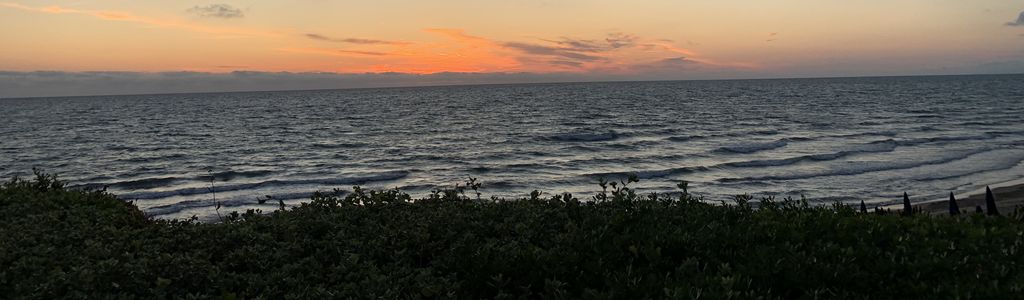 Profile Hero Background