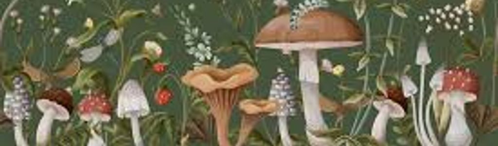 Profile Hero Background