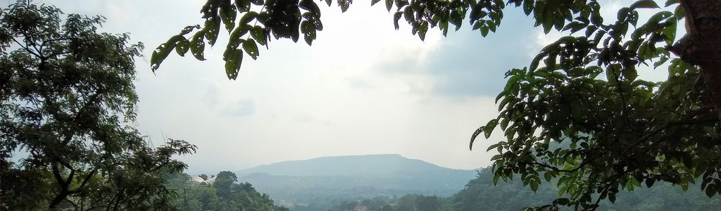 Profile Hero Background