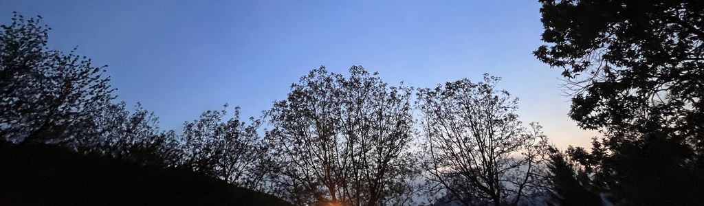 Profile Hero Background