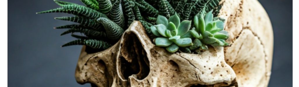 Profile Hero Background