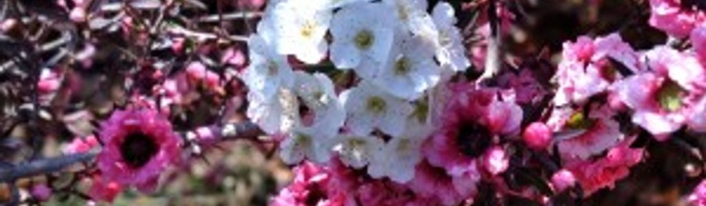 Profile Hero Background