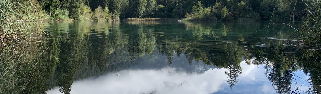 Profile Hero Background