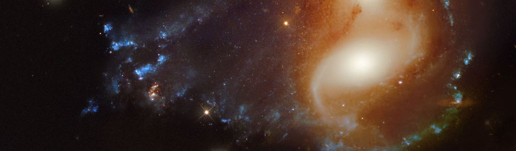 Profile Hero Background