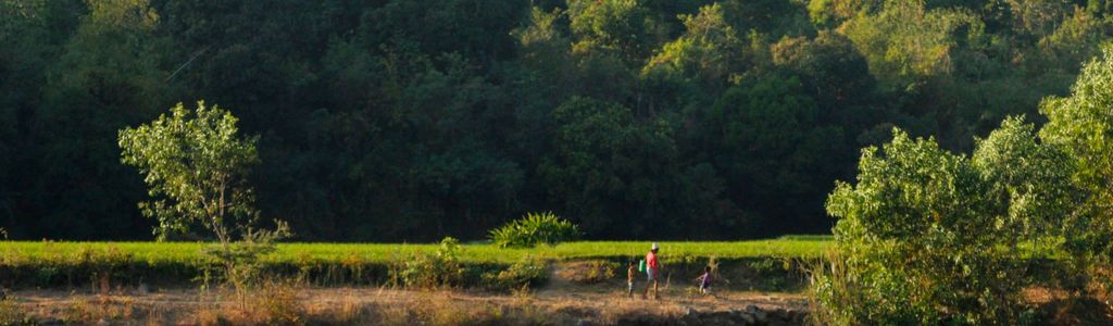 Profile Hero Background