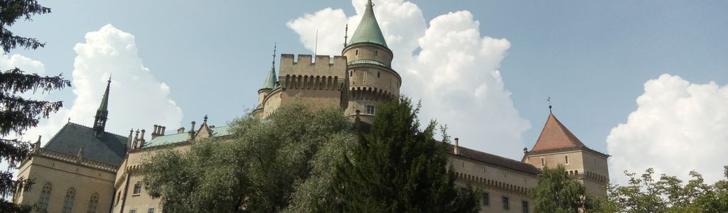 Profile Hero Background