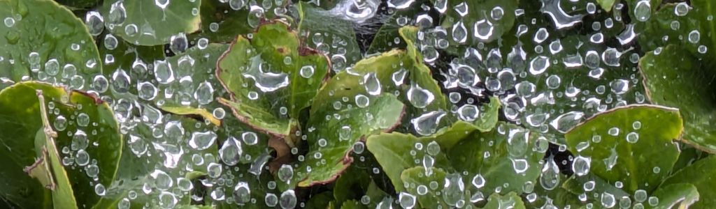 Profile Hero Background