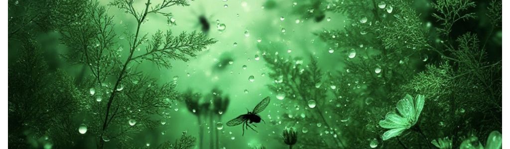 Profile Hero Background