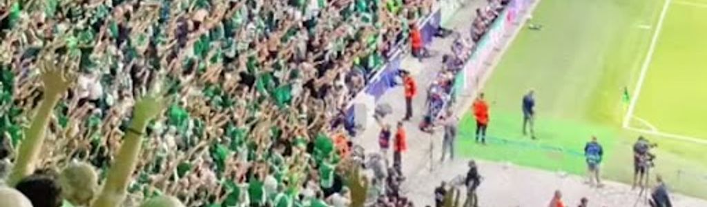 Profile Hero Background