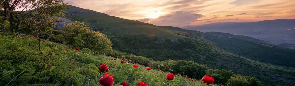 Profile Hero Background