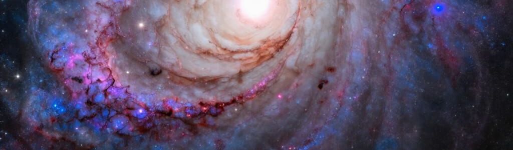 Profile Hero Background