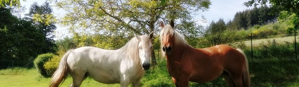 Profile Hero Background