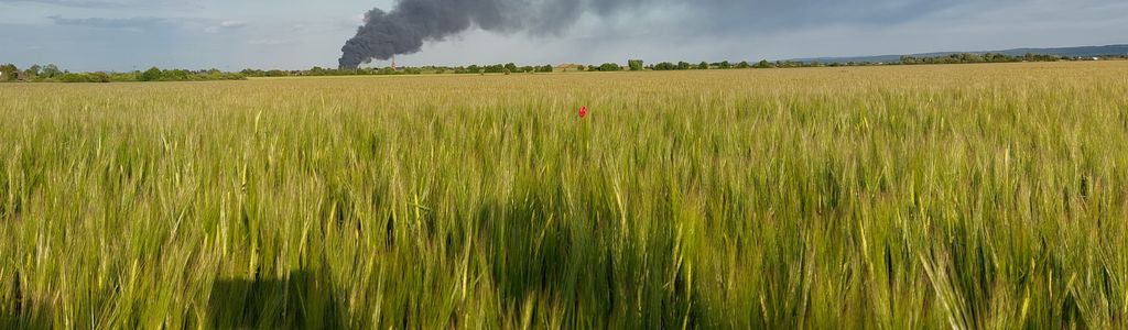 Profile Hero Background