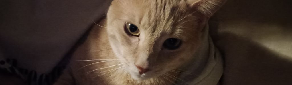 Profile Hero Background