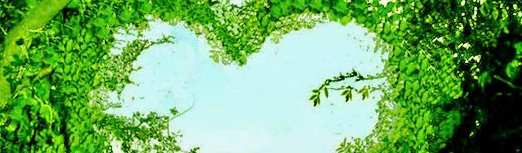 Profile Hero Background