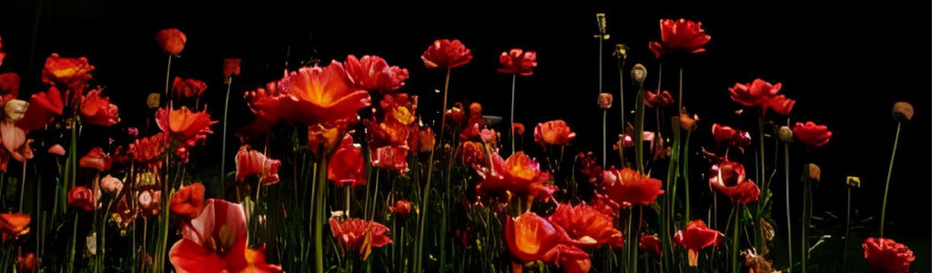 Profile Hero Background