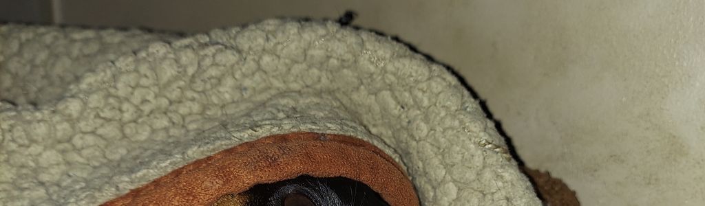 Profile Hero Background