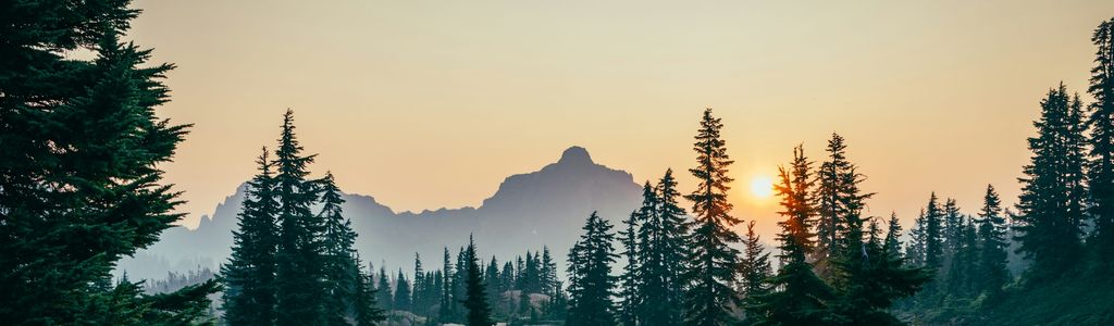 Profile Hero Background