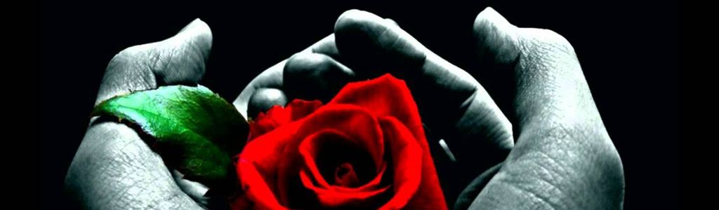 Profile Hero Background