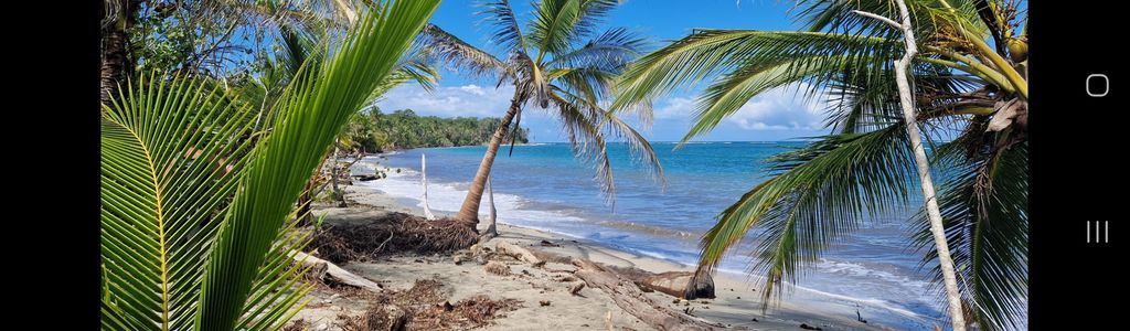 Profile Hero Background