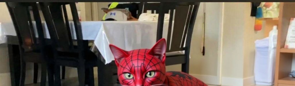 Profile Hero Background