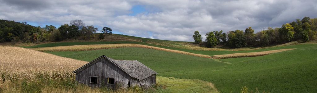 Profile Hero Background
