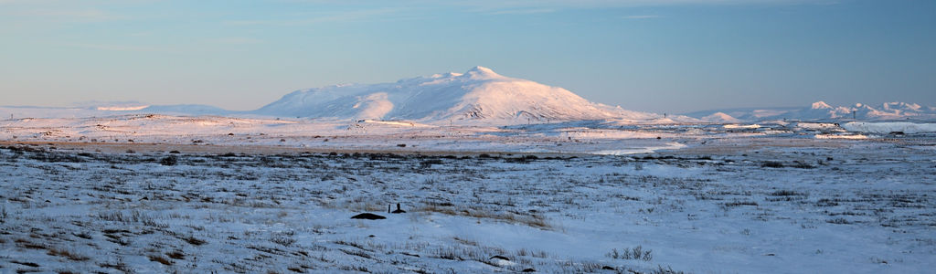 Profile Hero Background