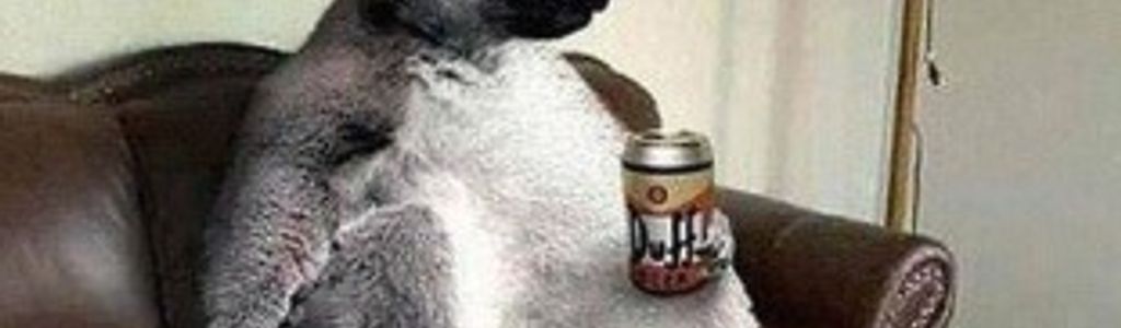 Profile Hero Background