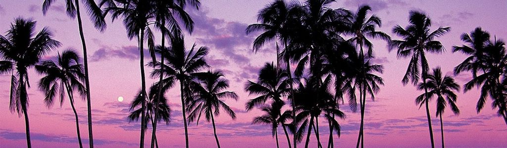 Profile Hero Background