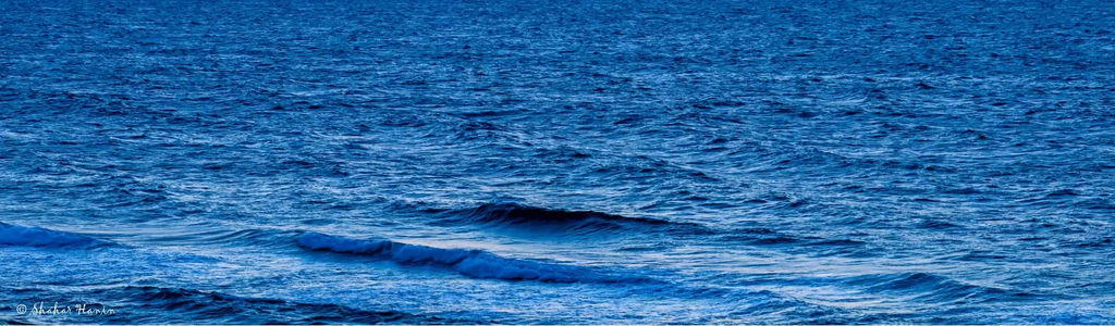 Profile Hero Background