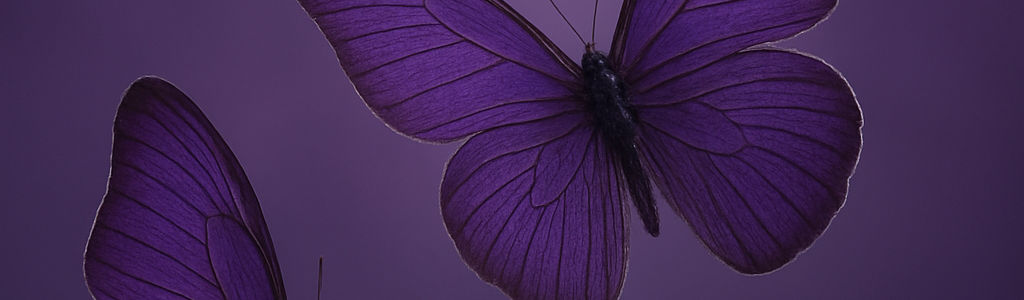 Profile Hero Background