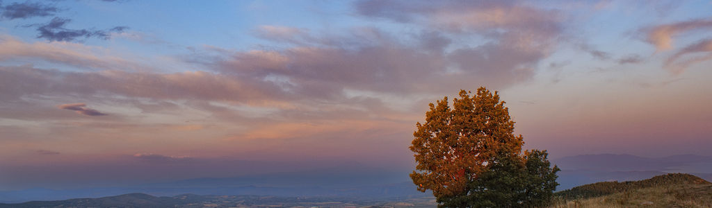 Profile Hero Background