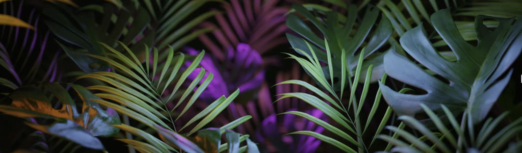 Profile Hero Background