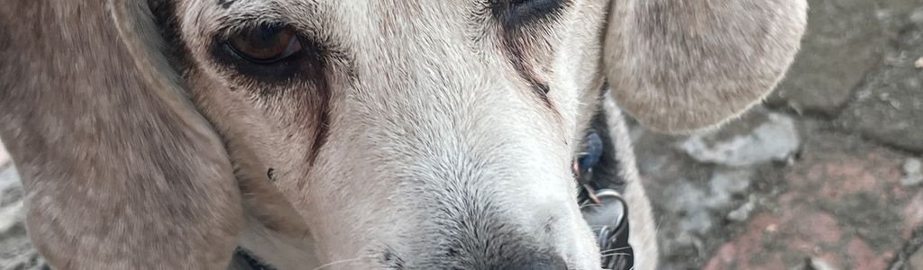 Profile Hero Background