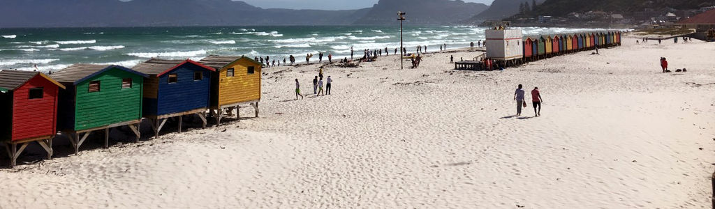 Profile Hero Background