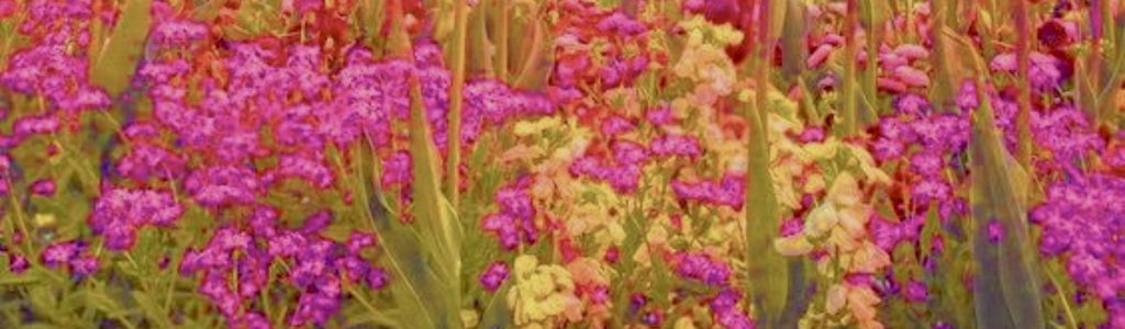 Profile Hero Background