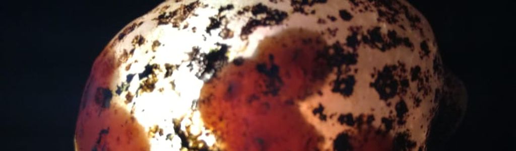 Profile Hero Background