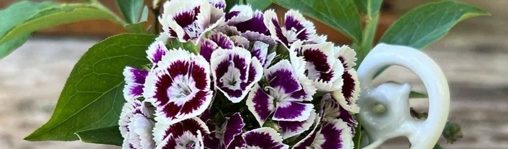 Profile Hero Background