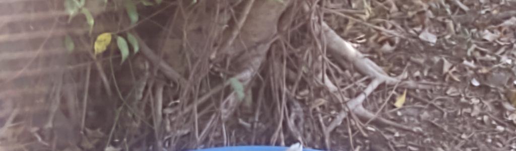 Profile Hero Background