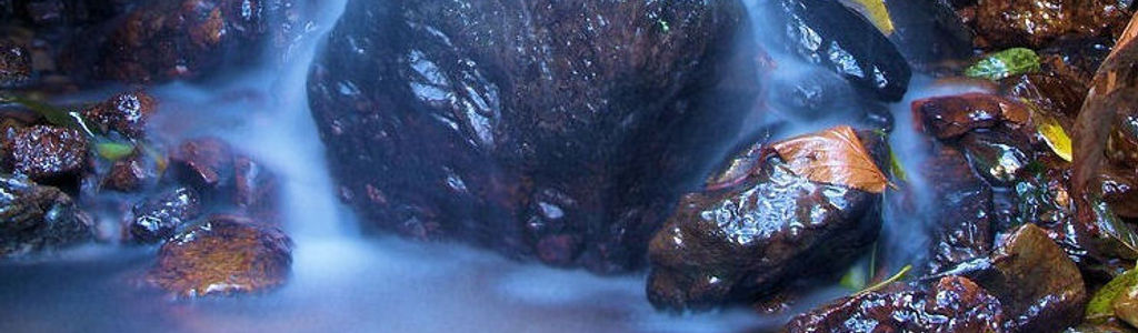 Profile Hero Background