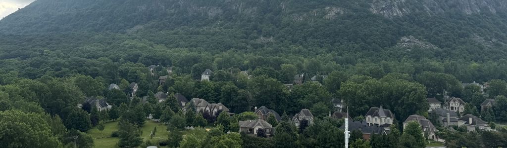 Profile Hero Background