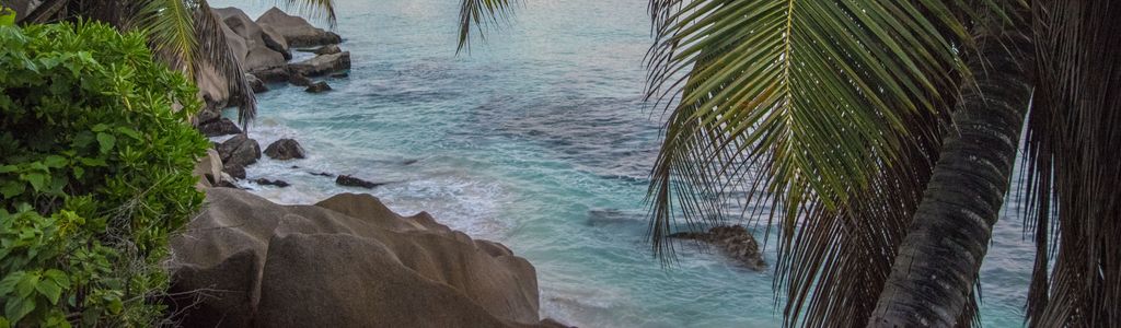 Profile Hero Background