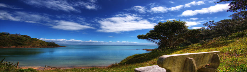 Profile Hero Background