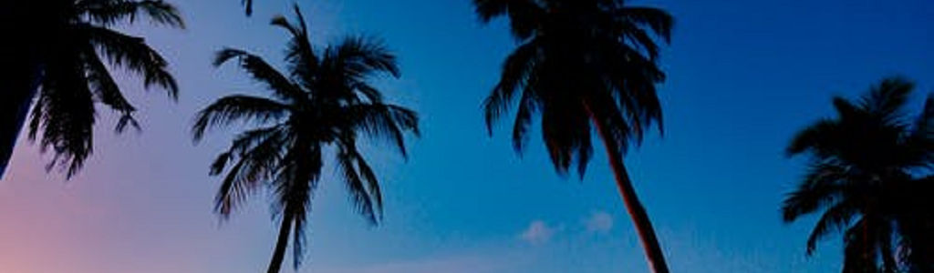 Profile Hero Background