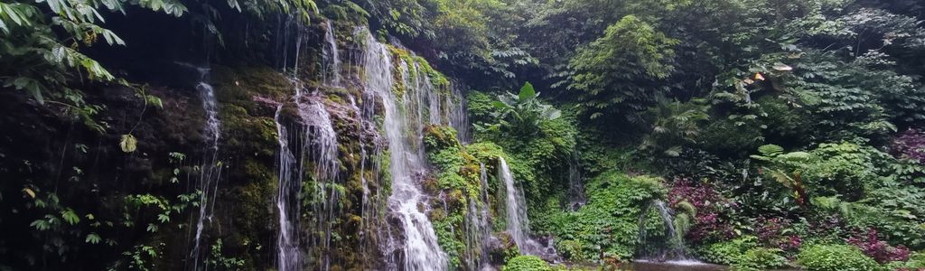 Profile Hero Background