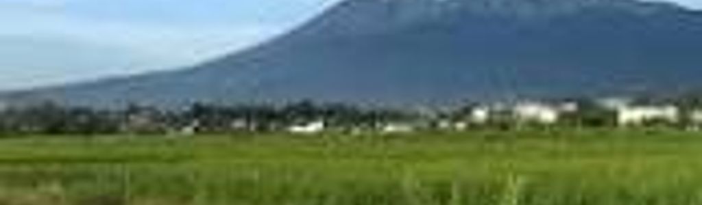 Profile Hero Background