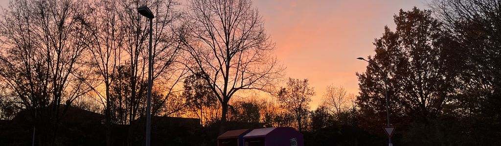 Profile Hero Background